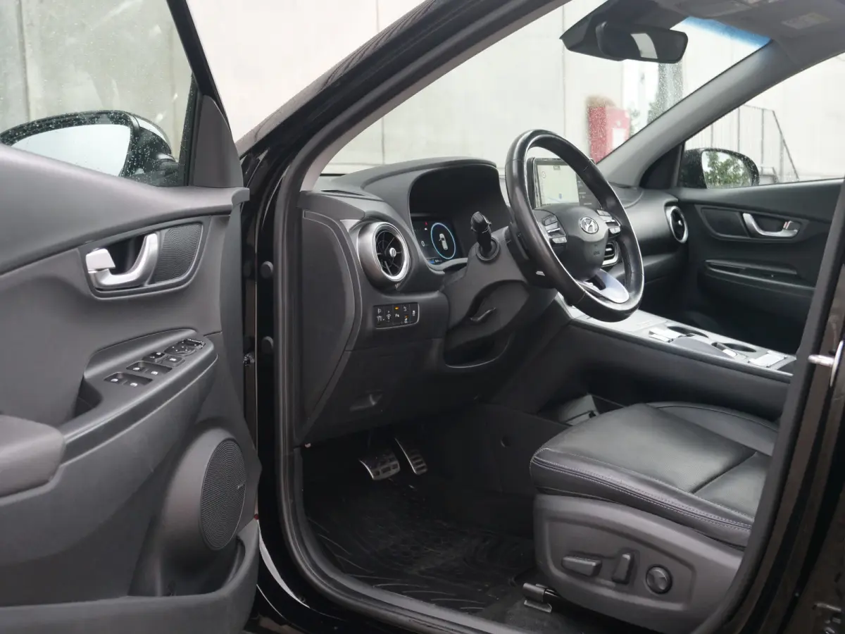EV Premium Sky 64 kWh | schuifdak | leder | krell sound | slechts 36.000km..