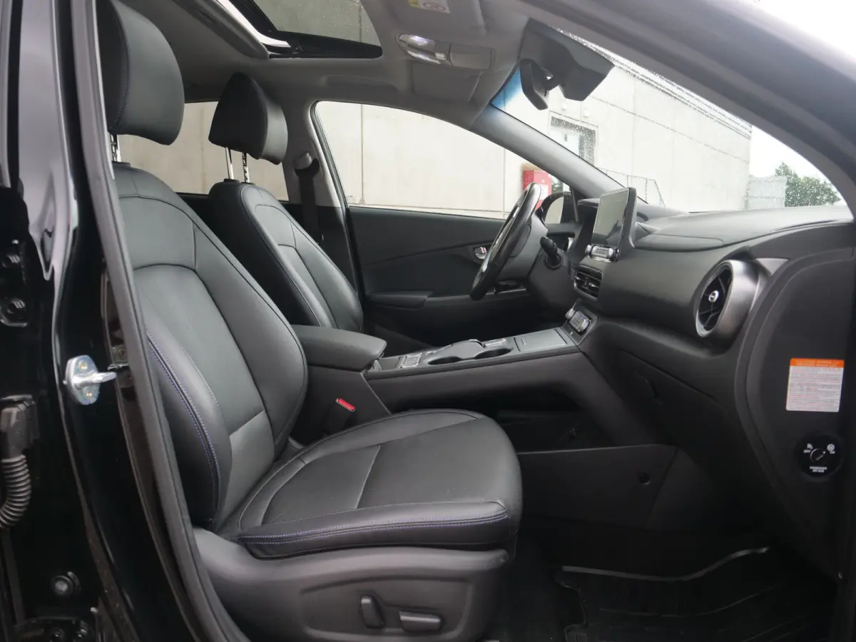 EV Premium Sky 64 kWh | schuifdak | leder | krell sound | slechts 36.000km..