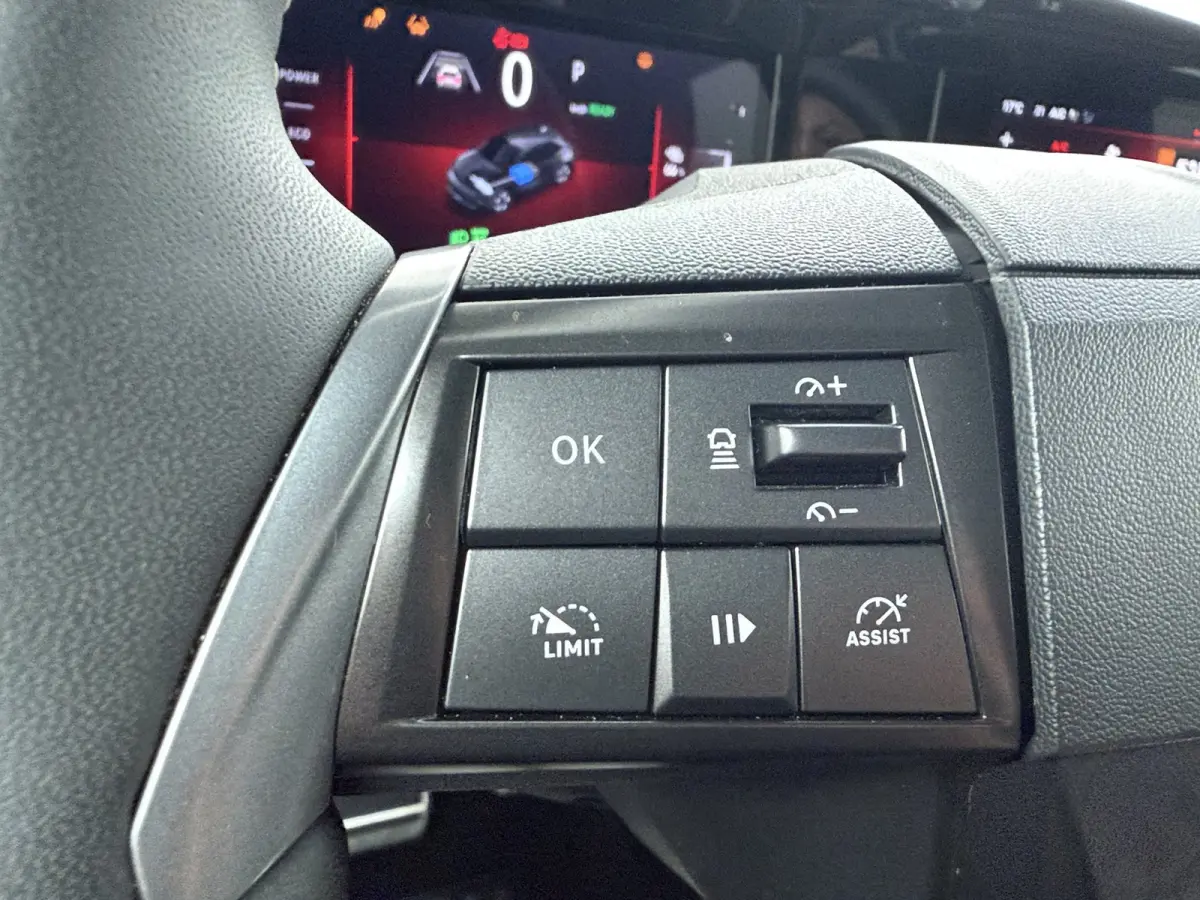 GS 54 kWh | Achteruitrijcamera | Apple Carplay/Android Auto|telefoonintegratie premium | Cruise control adaptief en stuurhulp