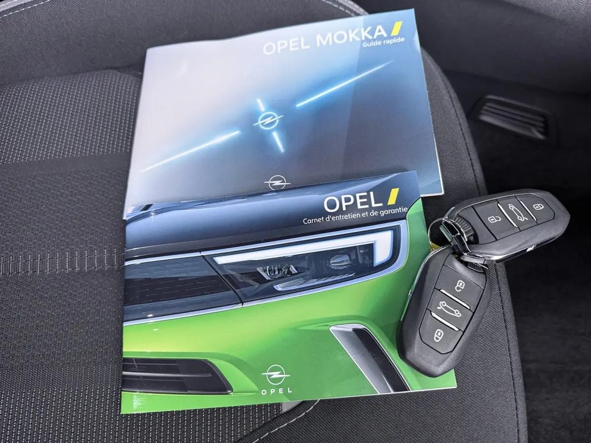 GS 54 kWh | Achteruitrijcamera | Apple Carplay/Android Auto|telefoonintegratie premium | Cruise control adaptief en stuurhulp