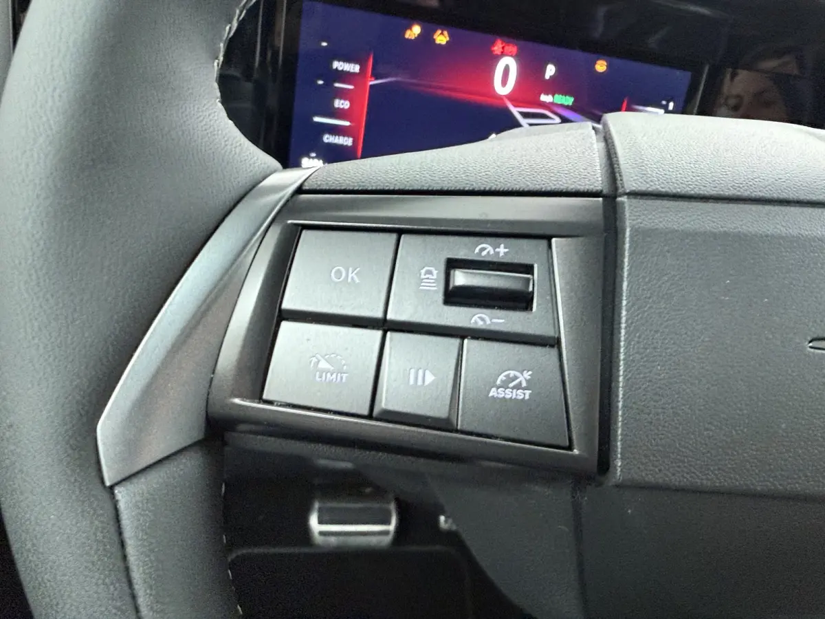GS 54 kWh | 96% SOH | Apple Carplay / Android Auto | Adaptive Cruise Control | | Bluetooth Audio-Streaming | Buitenspiegel elektr. verstel- en verwarmbaar, electr. inklapbaar | DAB-Tuner (Ra