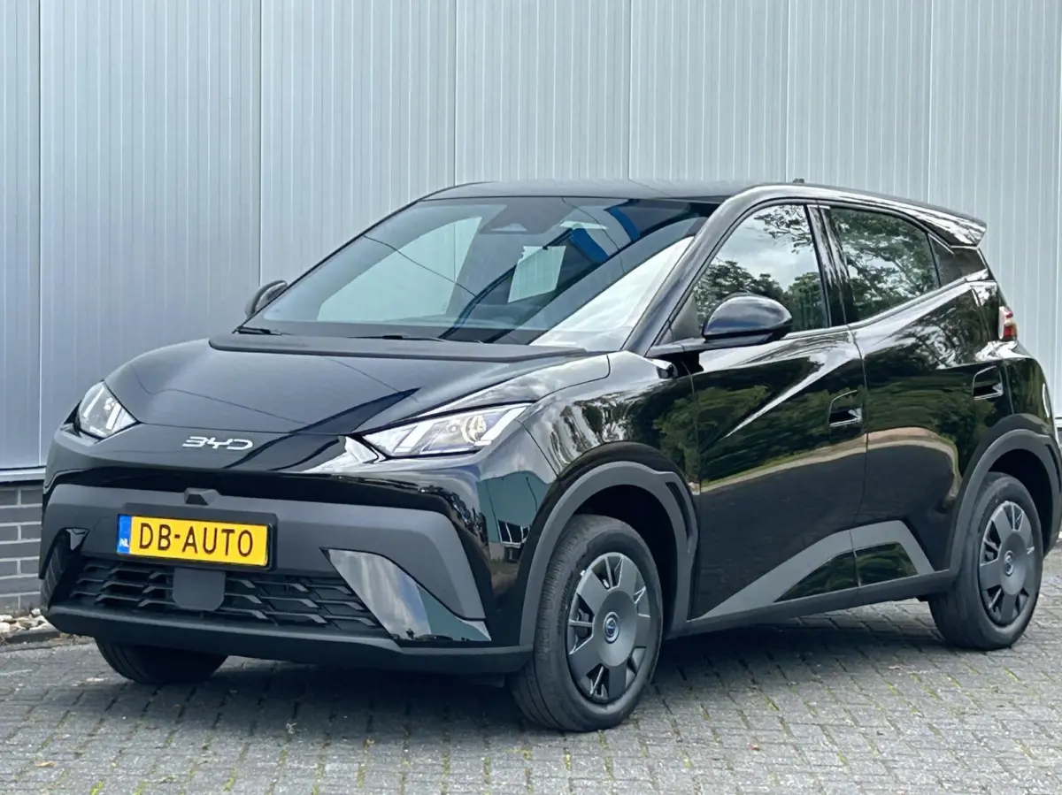 Active 30 kWh NIEUW DIRECT RIJDEN I NAVI + CAMERA I CARPLAY
