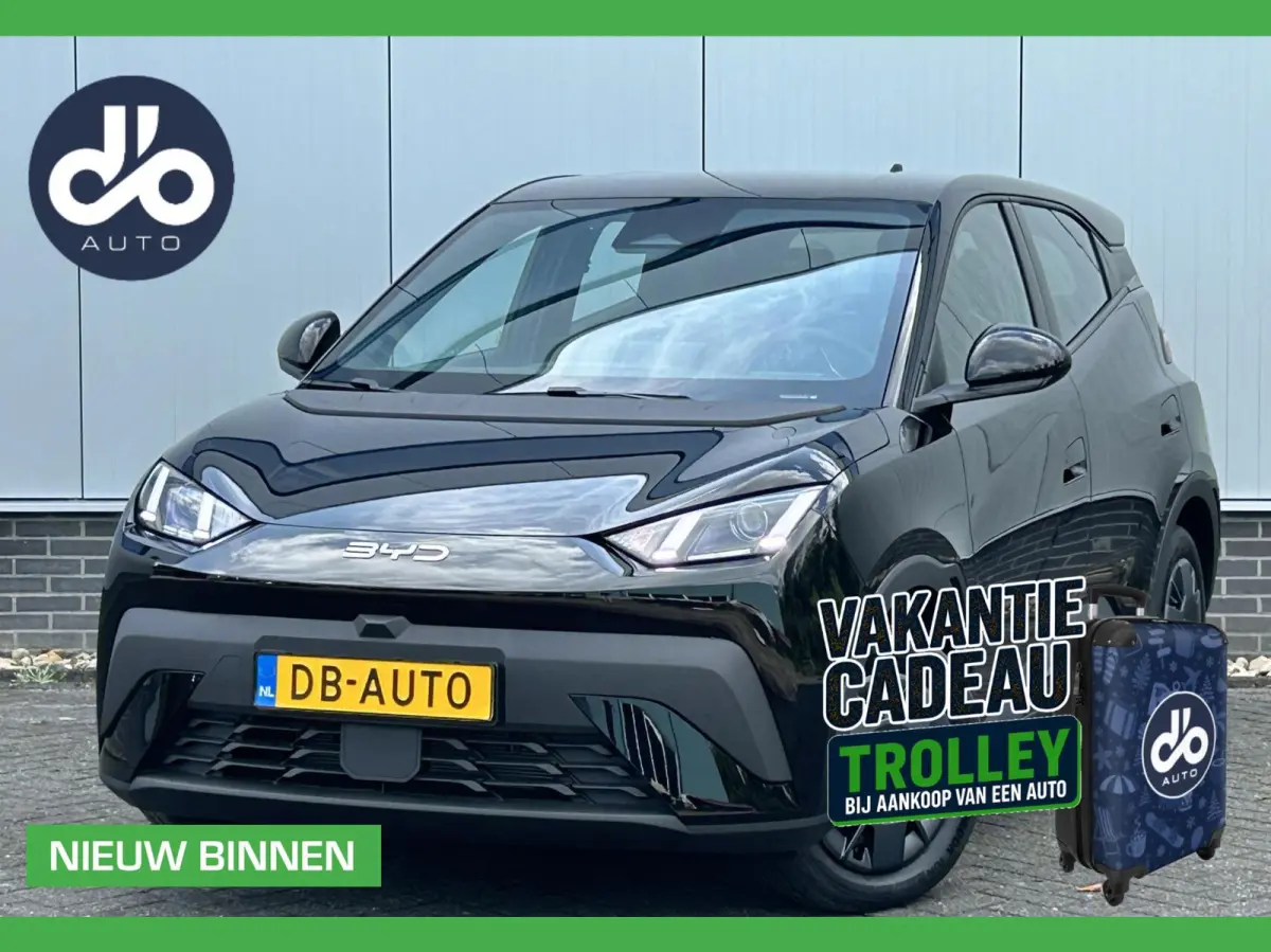 Active 30 kWh NIEUW DIRECT RIJDEN I NAVI + CAMERA I CARPLAY