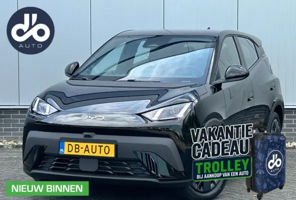 Active 30 kWh NIEUW DIRECT RIJDEN I NAVI + CAMERA I CARPLAY