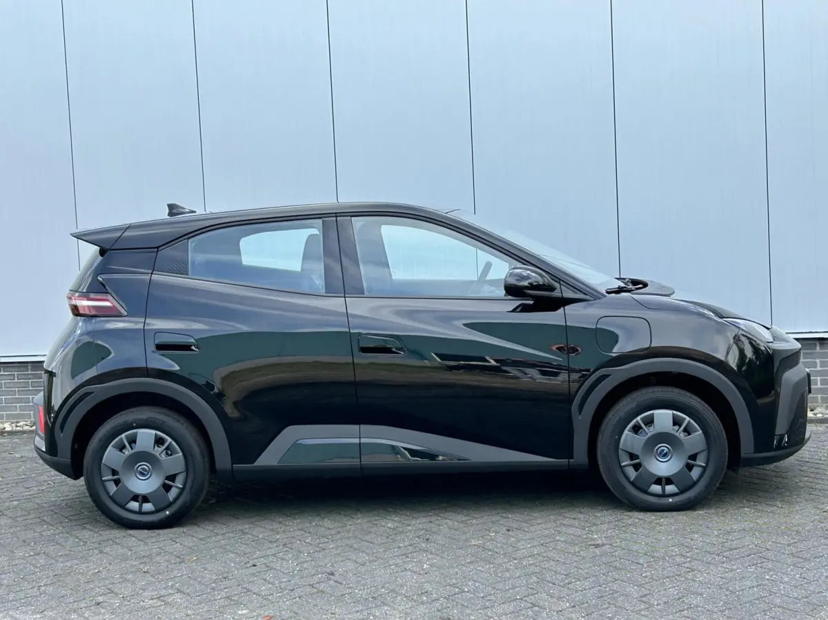 Active 30 kWh NIEUW DIRECT RIJDEN I NAVI + CAMERA I CARPLAY