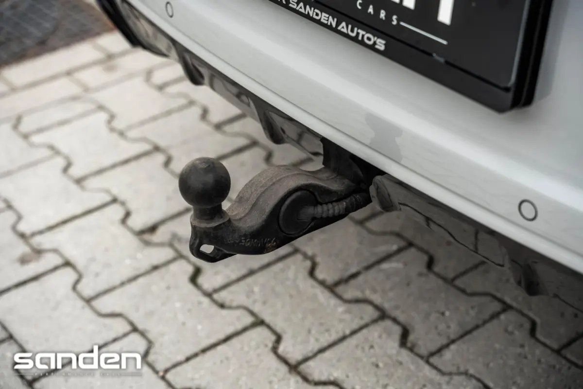 E-Hybrid Platinum Edition|Krijt|Pano