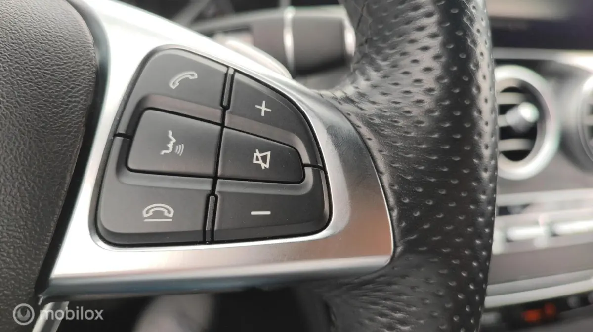 350 e AMG AUTOMAAT LEER LED CRUISE LUCHTVERING