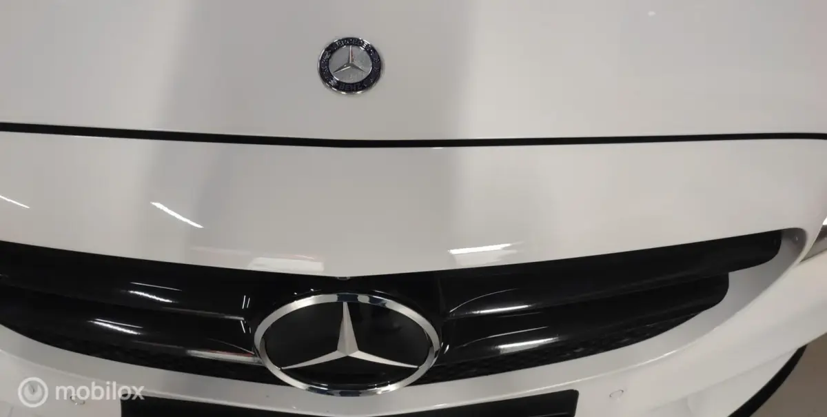 350 e AMG AUTOMAAT LEER LED CRUISE LUCHTVERING