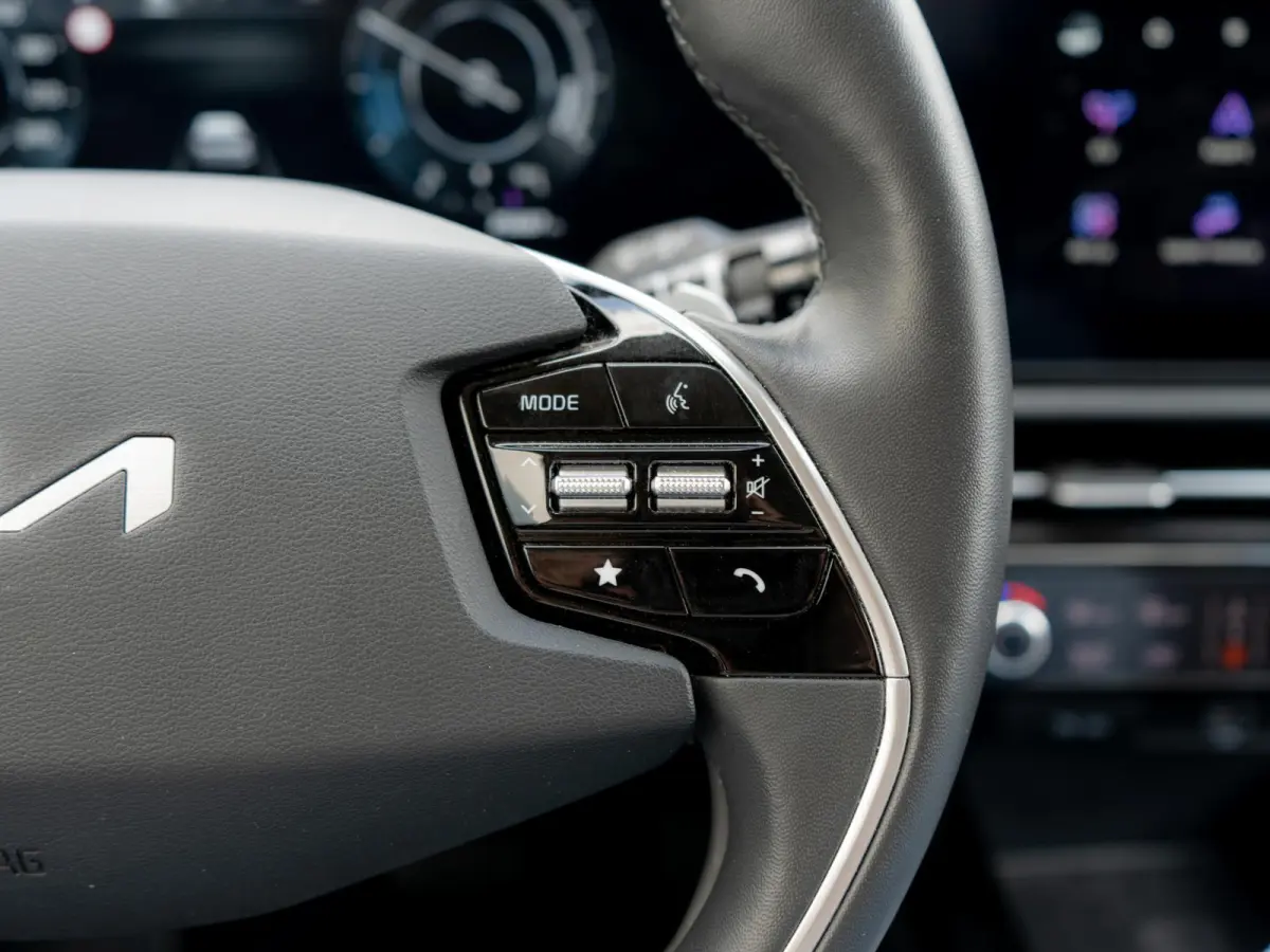 Edition Advanced 64.8 kWh | Stoel en stuurverwarming | Navigatie |