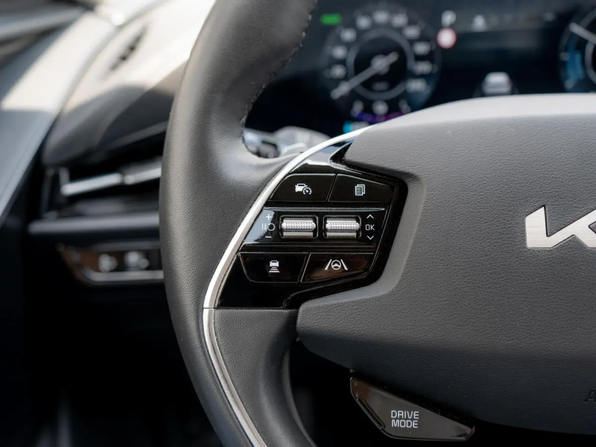 Edition Advanced 64.8 kWh | Stoel en stuurverwarming | Navigatie |
