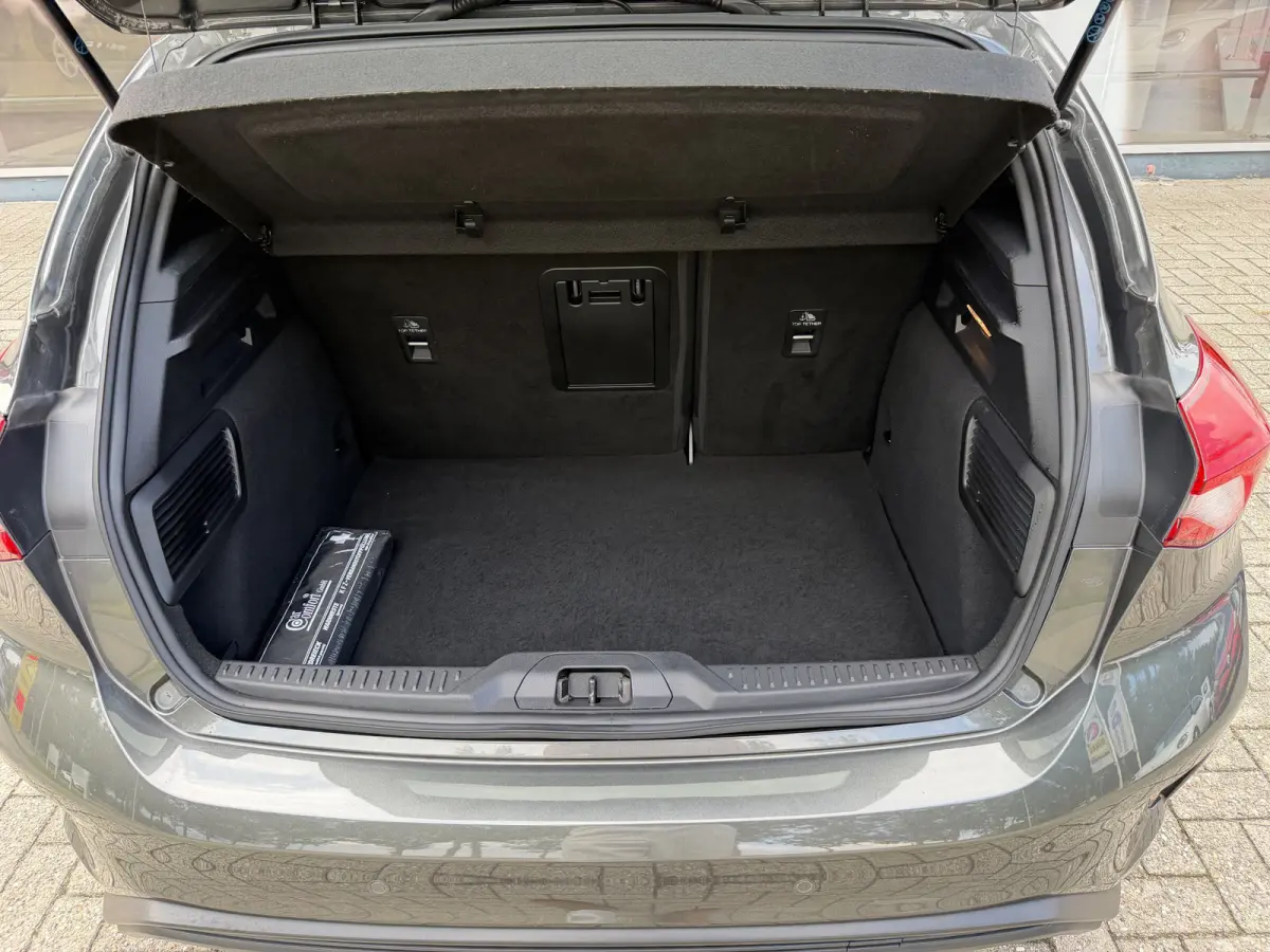 1.0 Titanium Business Automaat / Keyless / Carplay / Navigatie / PDC v+a