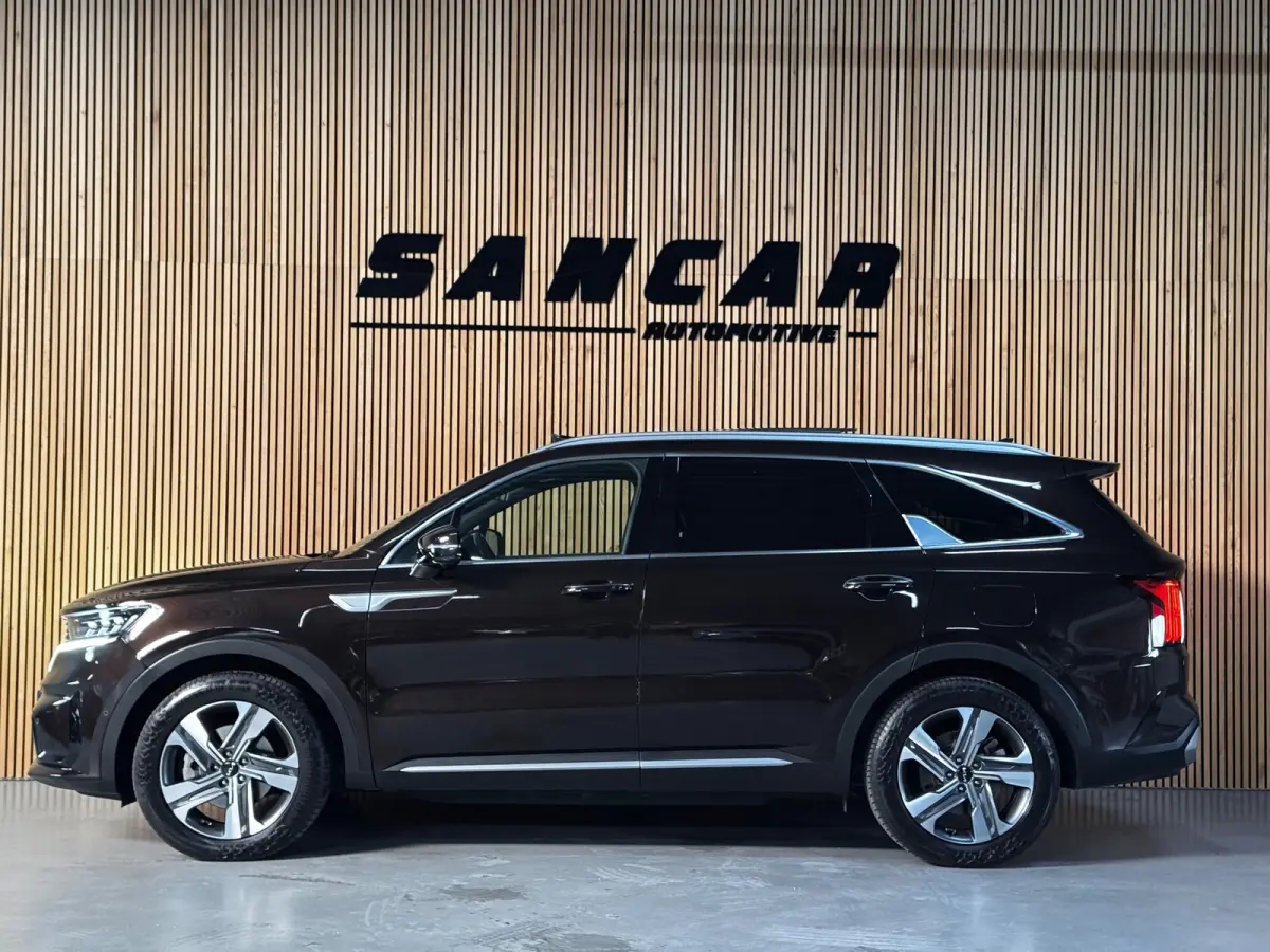 1.6 T-GDI Plug-in Hybrid 4WD ExecutiveLine 7p. BOMVOL!! PANO|BOSE|AMBIENT|STOELVENTILATIE+VERWARMING|ACC|APPLE/ANDROID