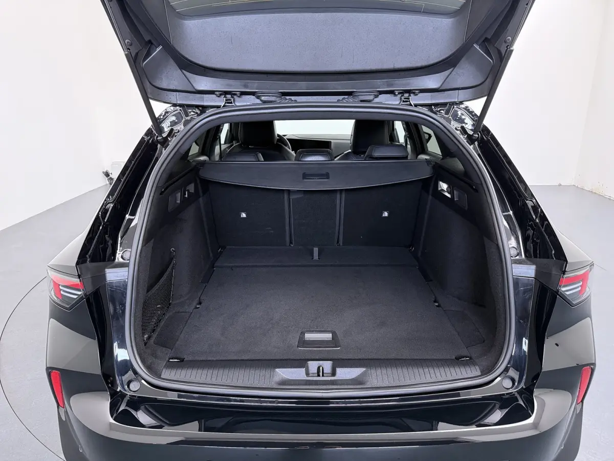 1.2 GS Line | Alcantara bekleding | Cruise control adaptief | LED koplampen