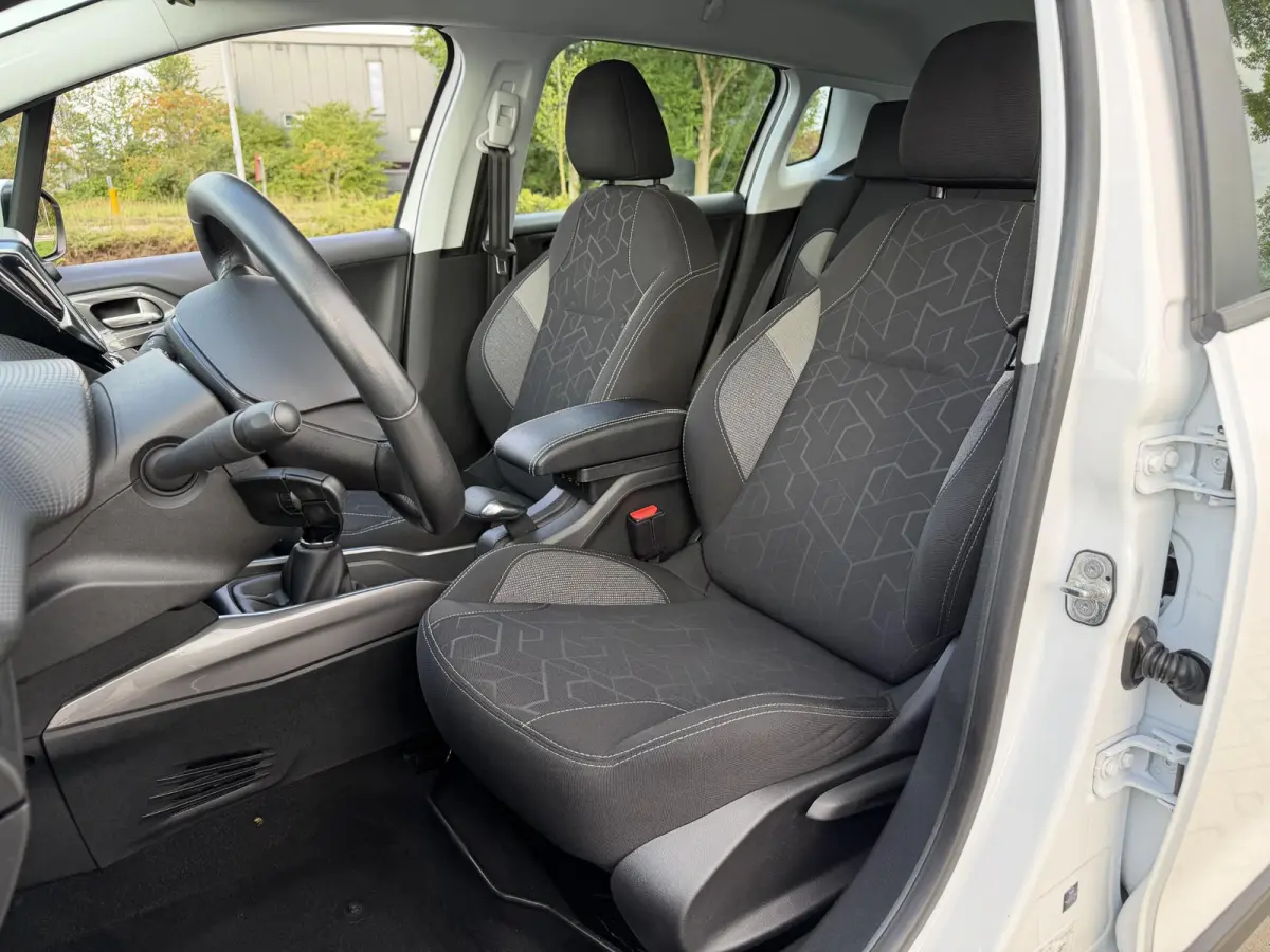 1.2 PureTech Blue Lion | Airco | Apple Carplay/Android Auto | Parkeersensoren