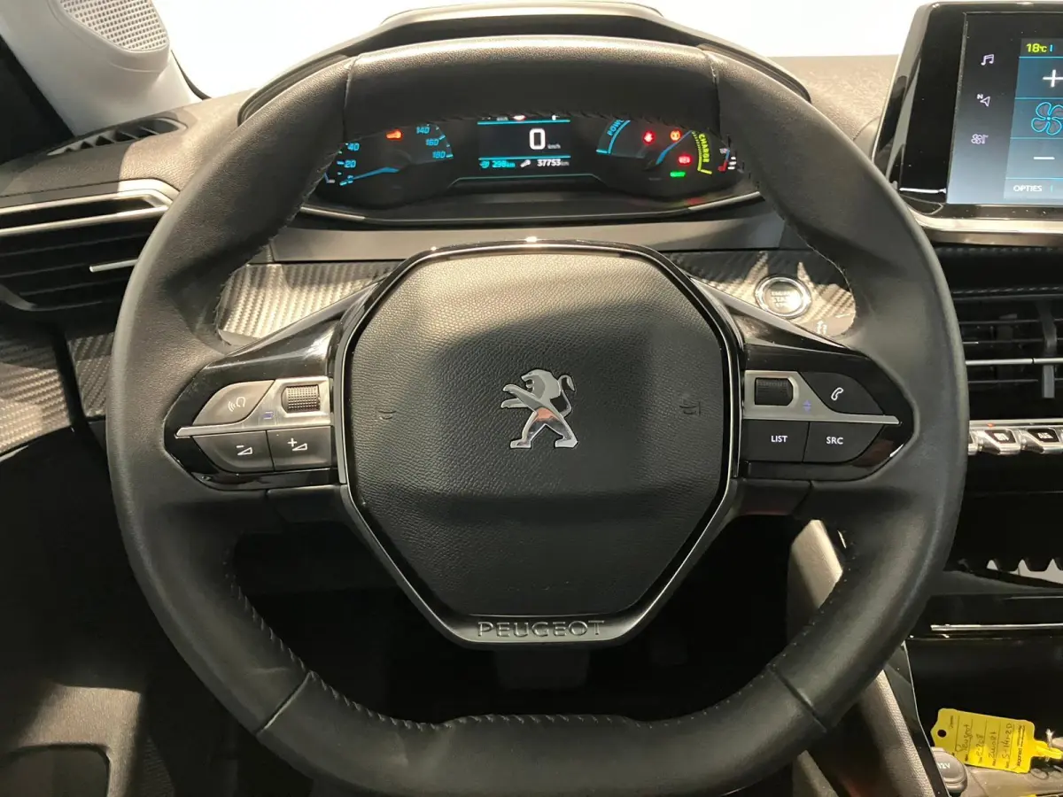 EV Allure 50 kWh | Navigatie | Camera | Climate control