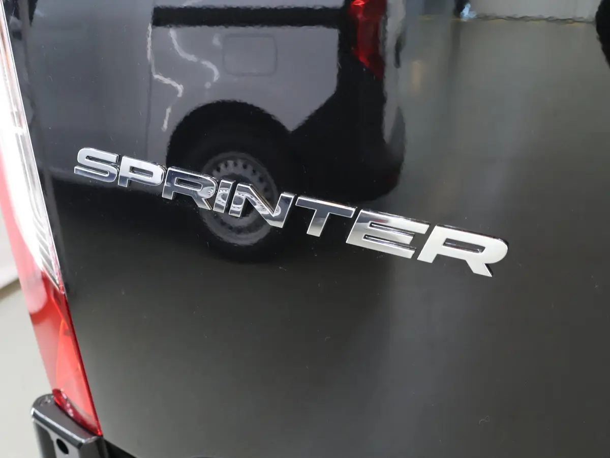 319 L2H2 RWD SELECT | LED | BPM VRIJ | DISTRONIC | WINTERPAKKET | LEER