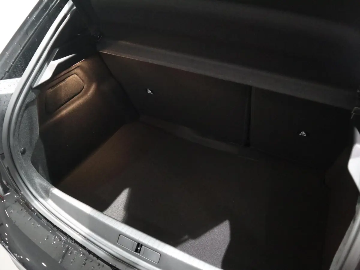 Active - NAVI - APPLE CARPLAY/ANDROID AUTO - PARKEERSENSOREN