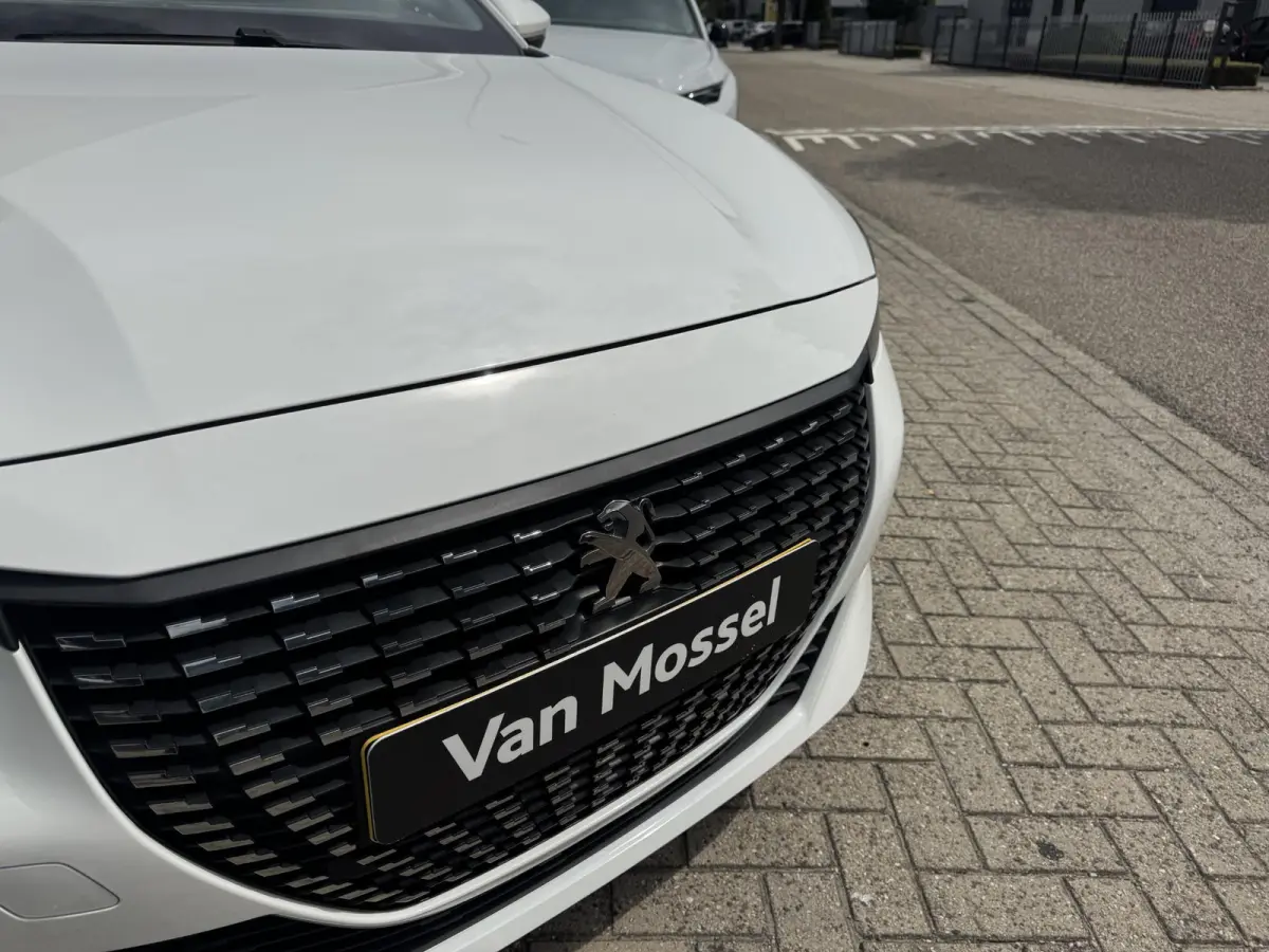 1.2 PureTech Blue Lease Active