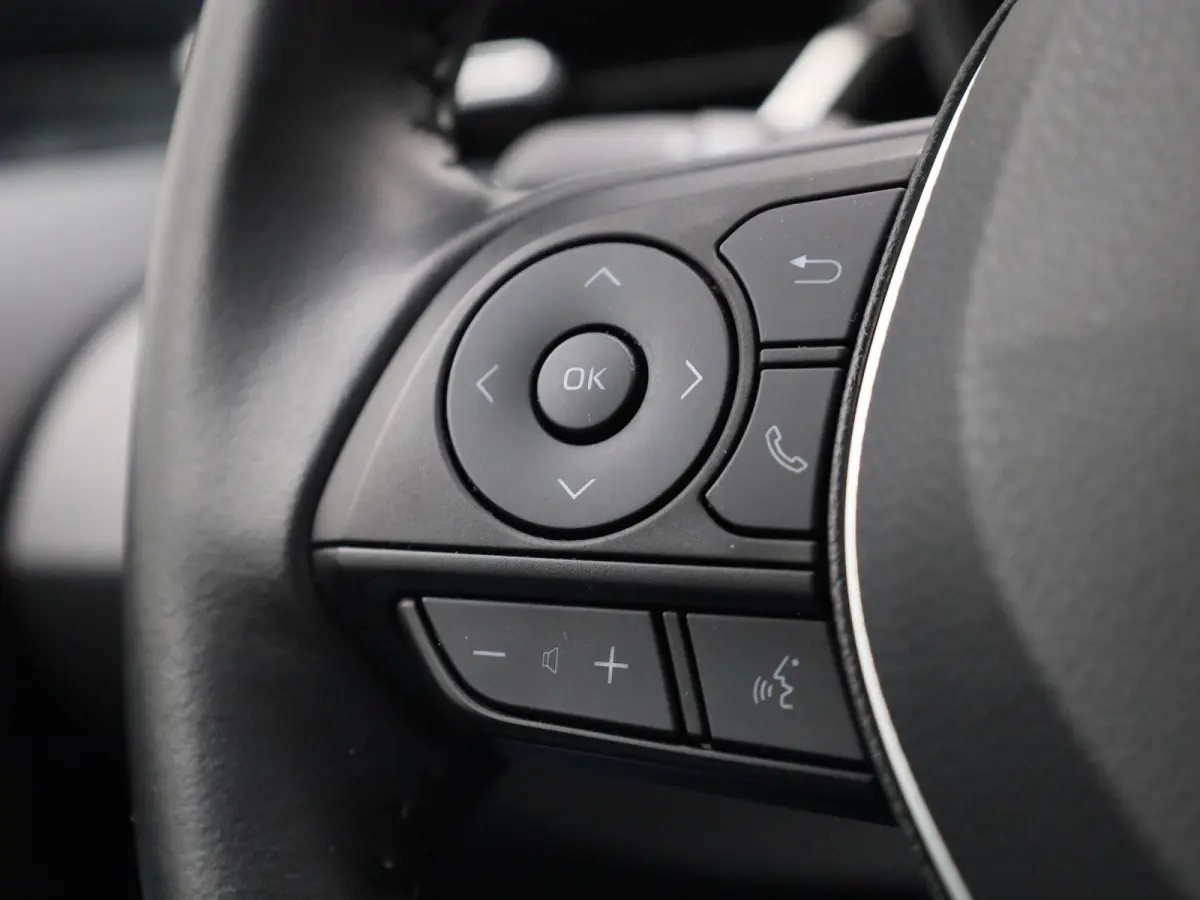 Hybrid 140 Active | ACHTERUITRIJCAMERA | NAVIGATIE | CLIMATE CONTROL | STOELVERWARMING |