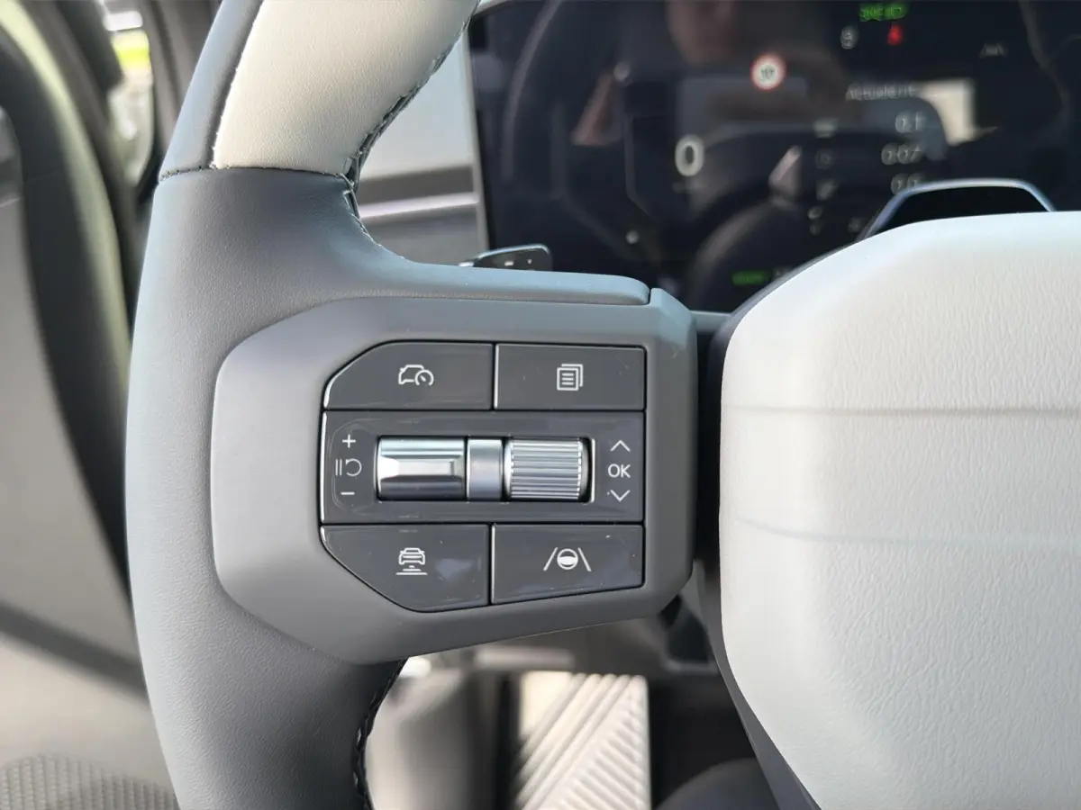 GT-Line Business Edition 81.4 kWh | Black Edition | Ambient lighting | 20" Lichtmtalen velgen | Privacy Glass | GT-Line interieur | Stoel- en stuurwielverwarming |