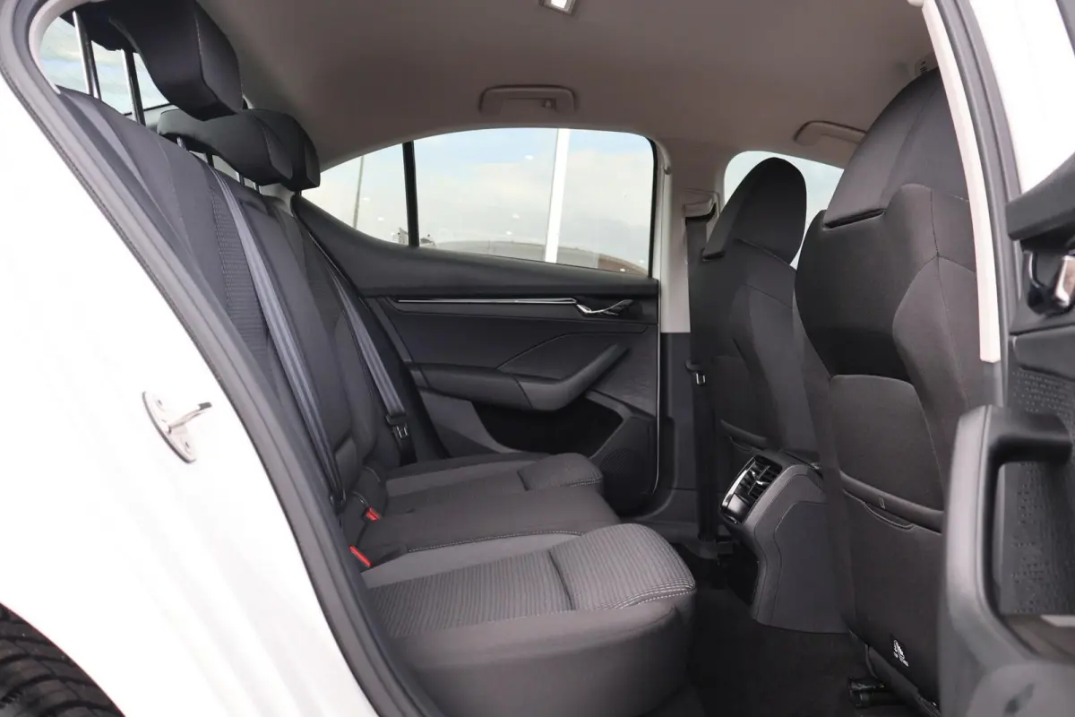1.0 TSI 110pk Ambition | PDC | Navigatie | Carplay | Cruise Control