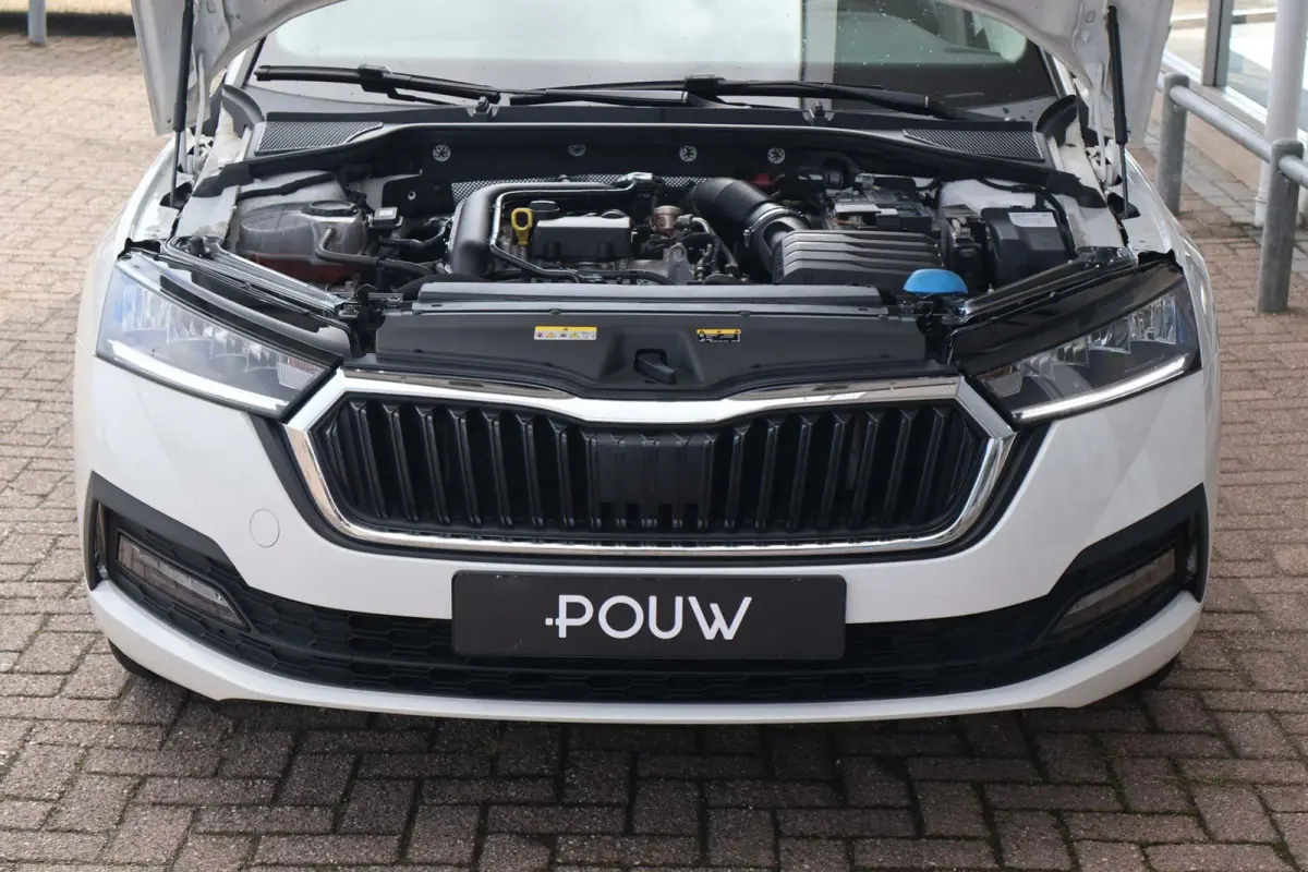 1.0 TSI 110pk Ambition | PDC | Navigatie | Carplay | Cruise Control