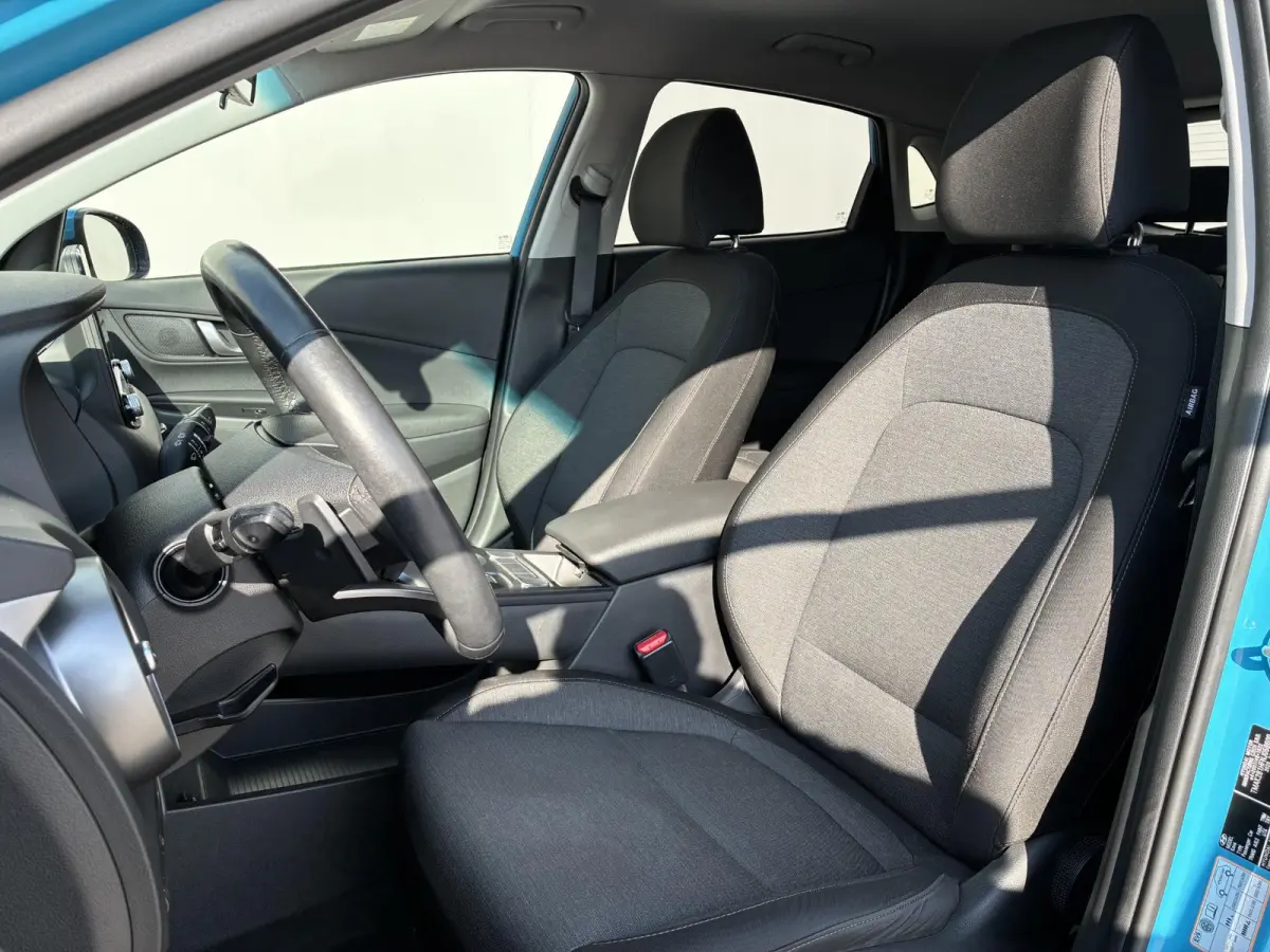 EV Fashion 39 kWh / SOH 100% / Stuur-/Stoelverwarming / Navigatie / Apple Carplay/Android Auto / Achteruitrijcamera / Krell audio / 3-fase /