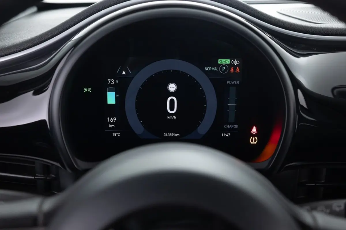 Icon 42 kWh | NAVI | ECC | VELGEN | SOH 94,90% | !
