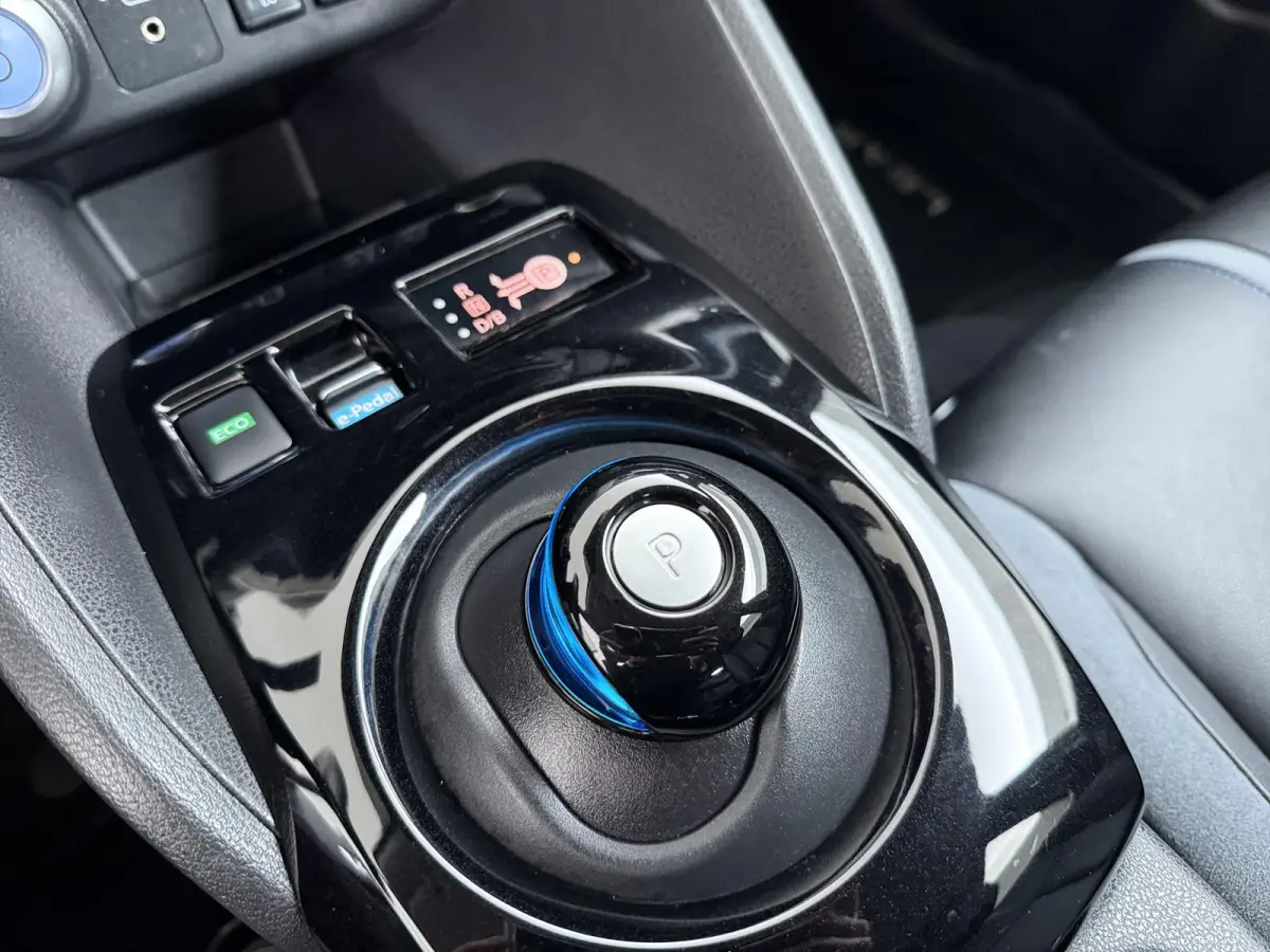 e+ Tekna 62 kWh | ProPILOT  | Adapt. Cruise | Lederen Bekl. |
