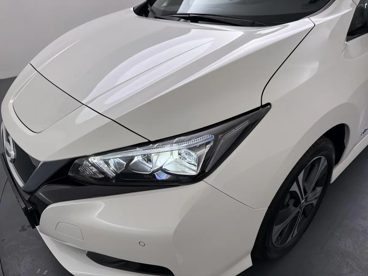 e+ Tekna 62 kWh | ProPILOT  | Adapt. Cruise | Lederen Bekl. |