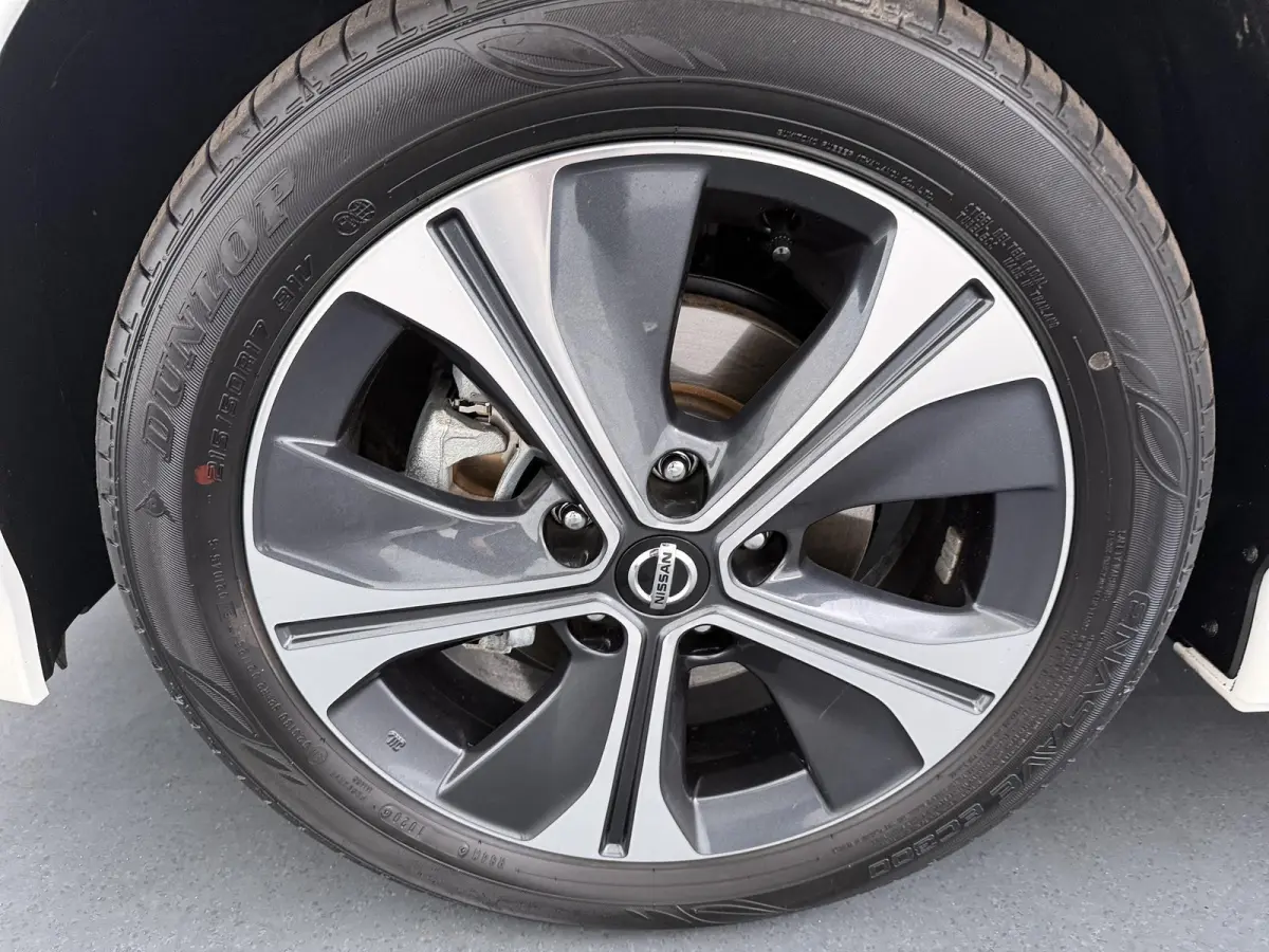 e+ Tekna 62 kWh | ProPILOT  | Adapt. Cruise | Lederen Bekl. |