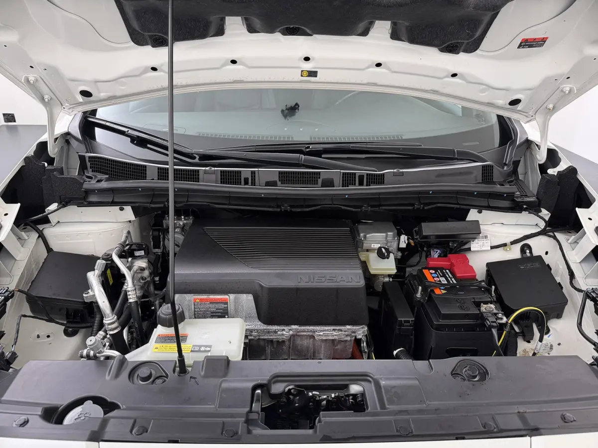 e+ Tekna 62 kWh | ProPILOT  | Adapt. Cruise | Lederen Bekl. |