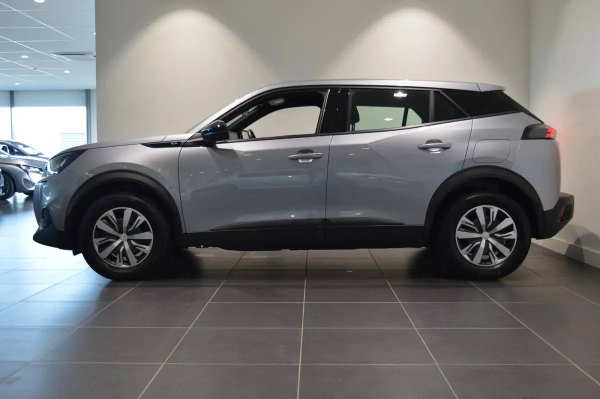 EV Active Pack 50 kWh CRUISECONTROL - ELEKTRISCH - HOGE INSTAP!