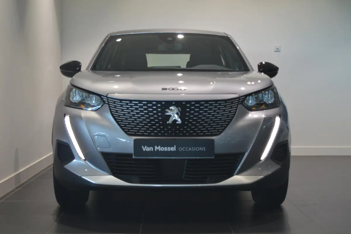 EV Active Pack 50 kWh CRUISECONTROL - ELEKTRISCH - HOGE INSTAP!