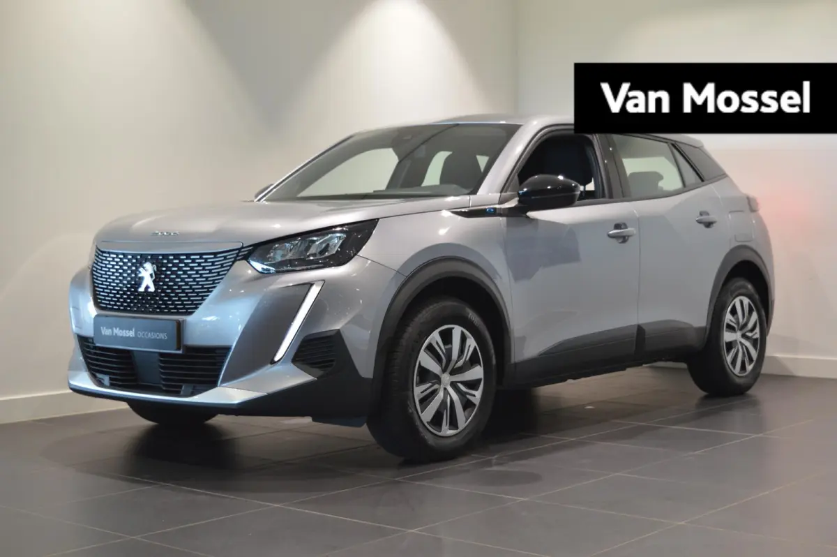 EV Active Pack 50 kWh CRUISECONTROL - ELEKTRISCH - HOGE INSTAP!