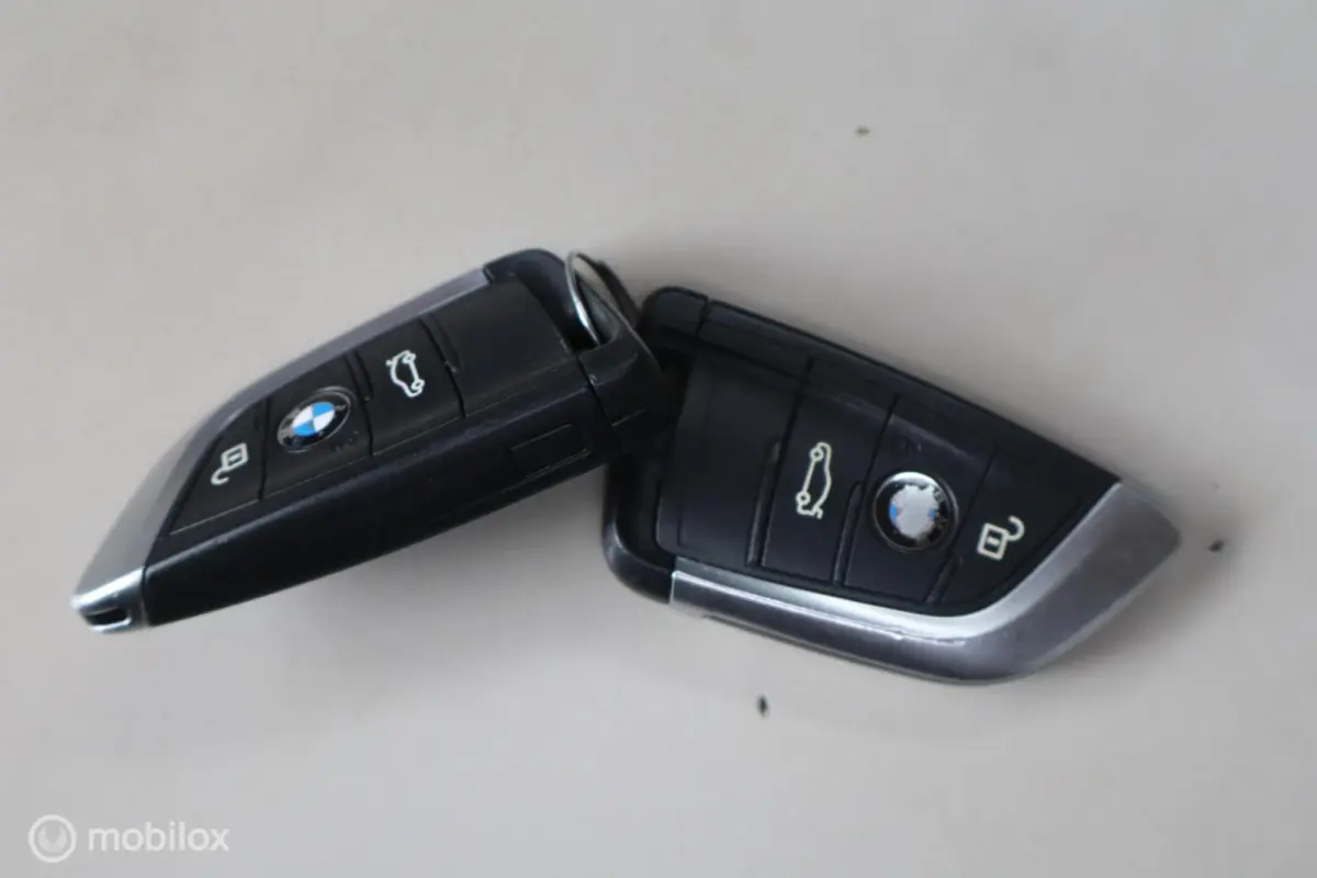 225xe iPerformance Leer Hybride