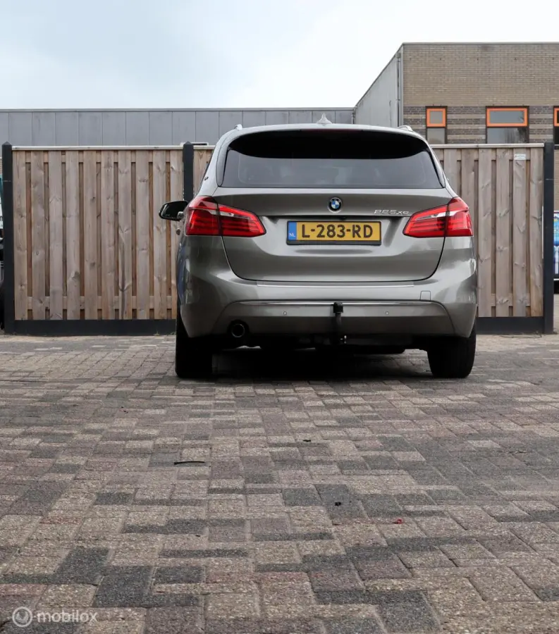 225xe iPerformance Leer Hybride