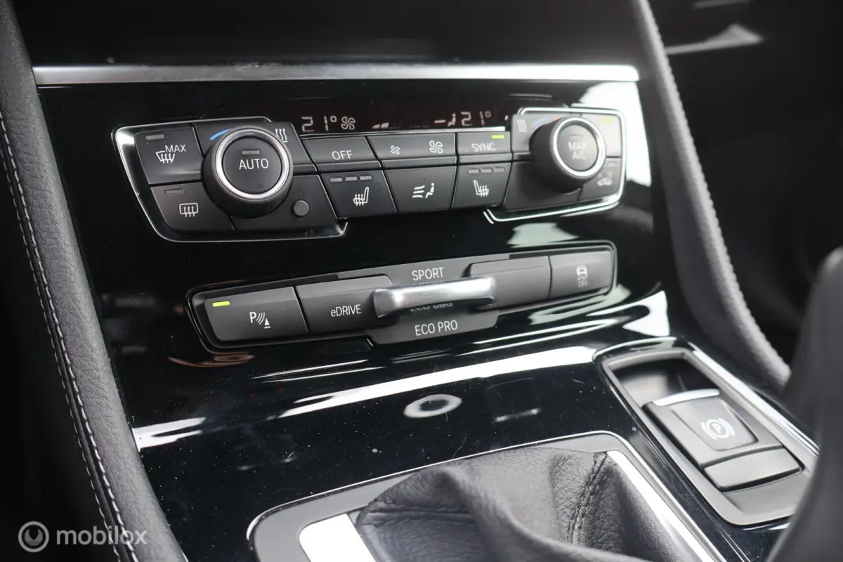 225xe iPerformance Leer Hybride