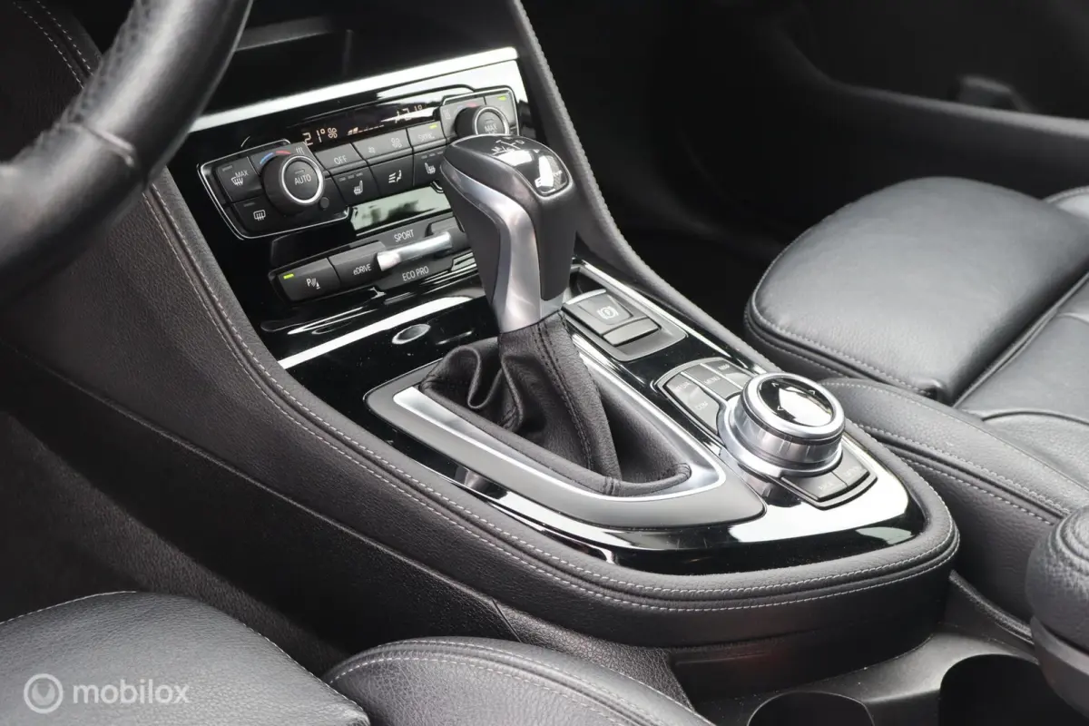 225xe iPerformance Leer Hybride