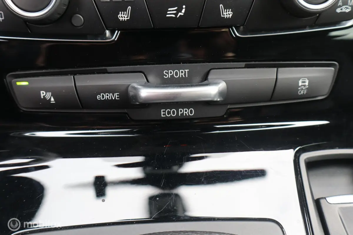 225xe iPerformance Leer Hybride