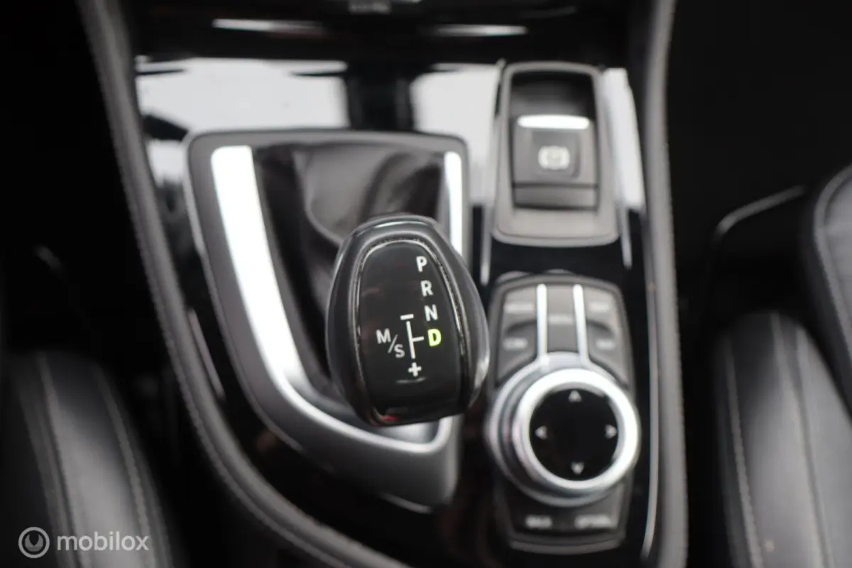225xe iPerformance Leer Hybride