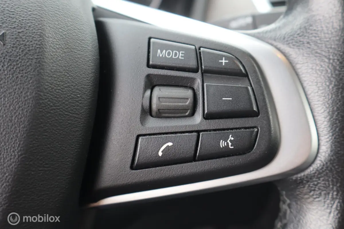 225xe iPerformance Leer Hybride