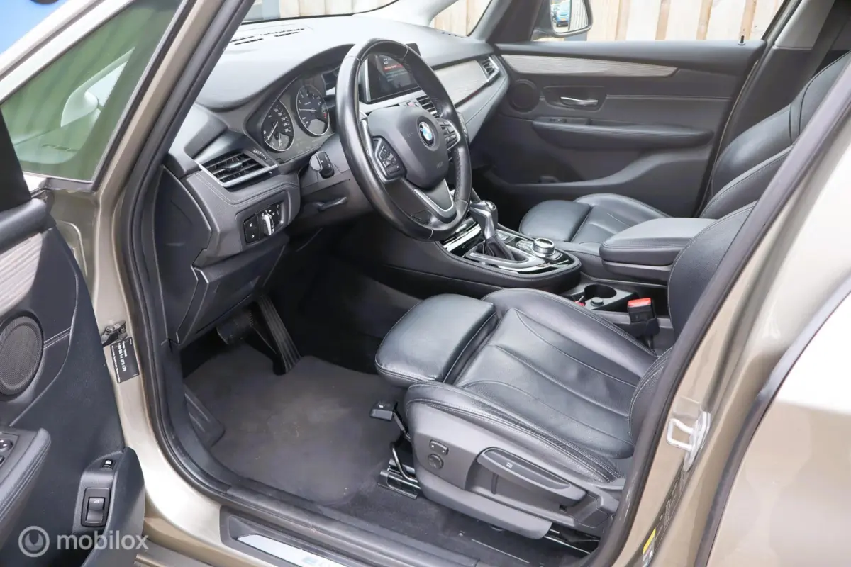 225xe iPerformance Leer Hybride
