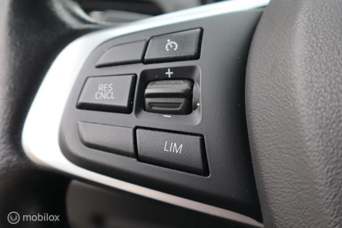 225xe iPerformance Leer Hybride