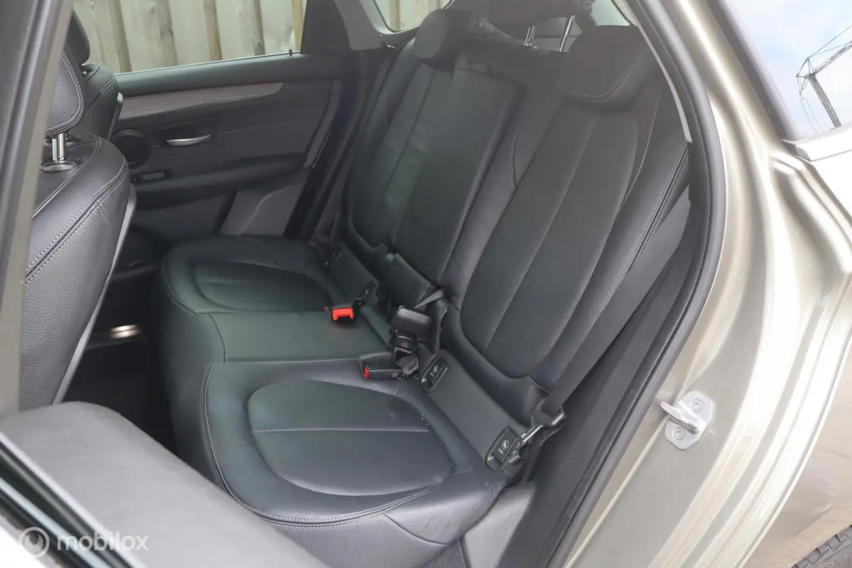 225xe iPerformance Leer Hybride
