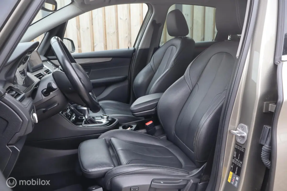 225xe iPerformance Leer Hybride