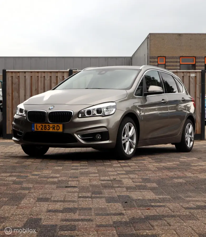 225xe iPerformance Leer Hybride