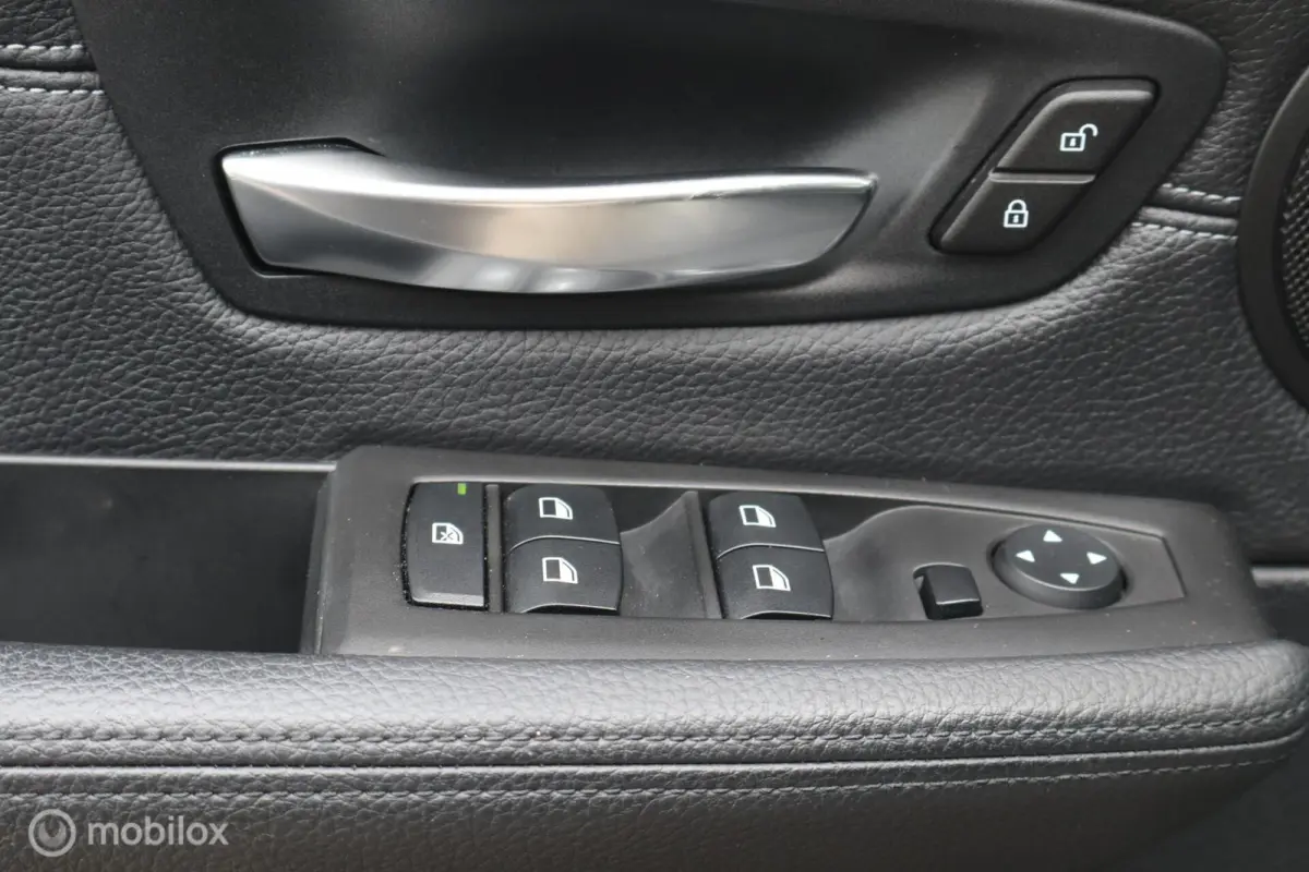 225xe iPerformance Leer Hybride