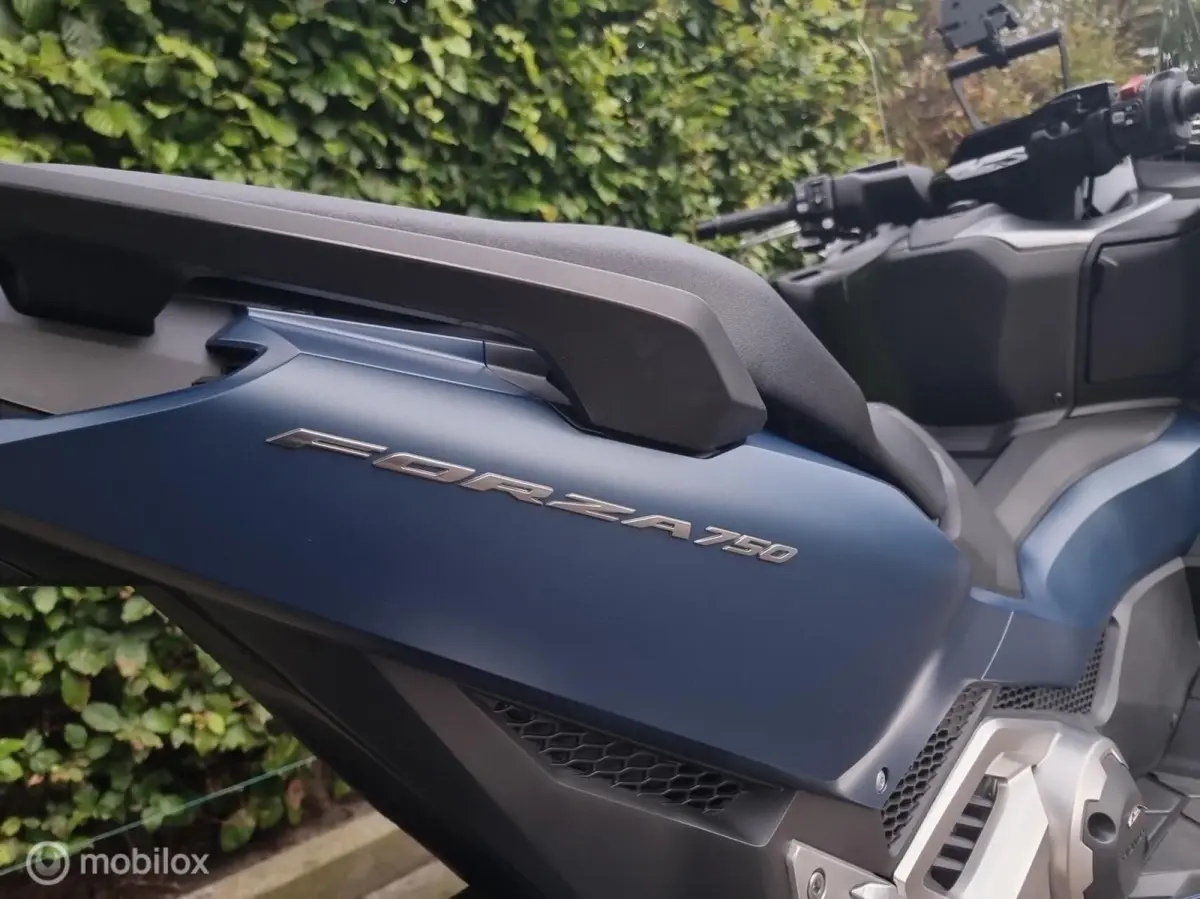 Sport (2024) Automaat BTW