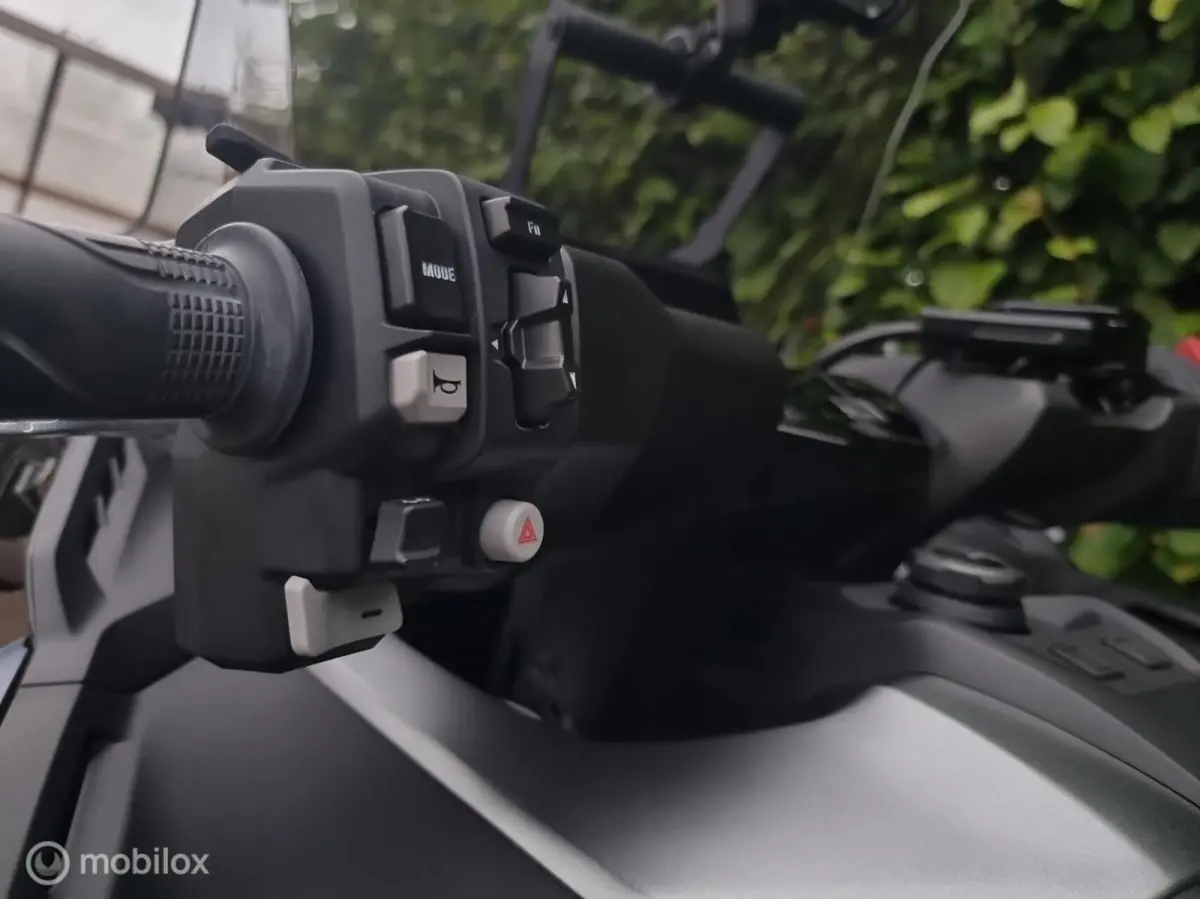 Sport (2024) Automaat BTW